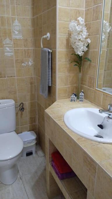 Bonito Apartamento Jv36 Apartment Córdoba Exterior foto